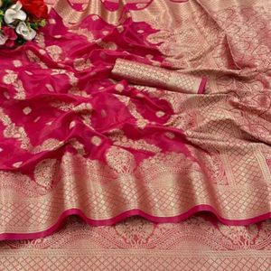 Beautiful Organza Silk Saree