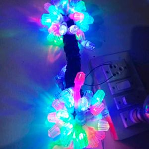 Indian Diamond Diwali Decoration Light 40Feet