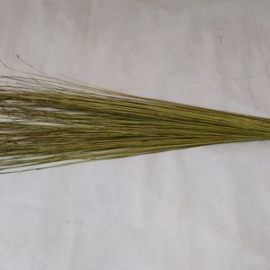 Coconut Fiber Wet And Dry Broomstick -2