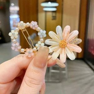 Korean Fancy Clips for Women & Kids Hair Clip