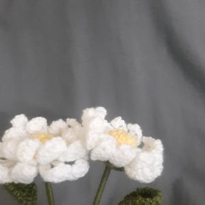 Large Double Layer Crochet Daisy Flowers