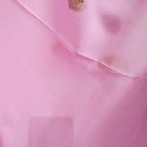 Pink Saree Without Blouse