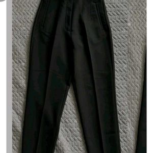 Zara High Waisted Pleated Pants