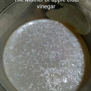 Apple Cider Vinegar With Mother (4 Time more)