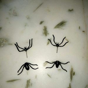 Spider earring