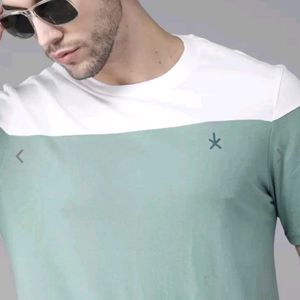 Men Green White Colourblocked Round Neck T-shirt