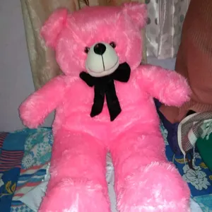 Completely New Teddy Bear