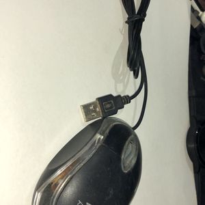 Terabyte Office Used Mouse Good Condition