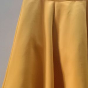 Mustard Flared Skirt