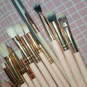 Delanci Makeup Brushes Set Of 12