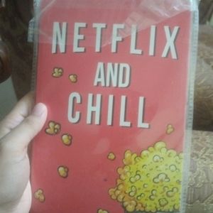 Netflix And Chill Book