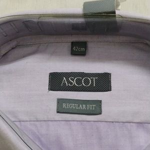 Shirt Formal Ascot 42cm