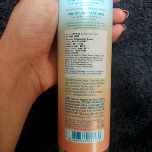 Bath & Body Works Midsummer Dream (Pre-loved)