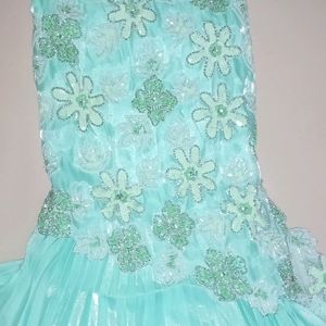 Fancy Party Wear Gown