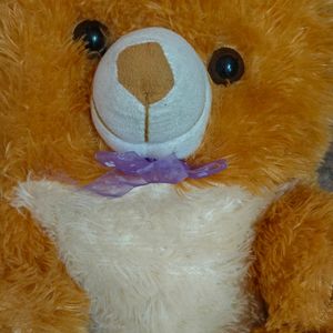 Teddy Bear Soft Toy