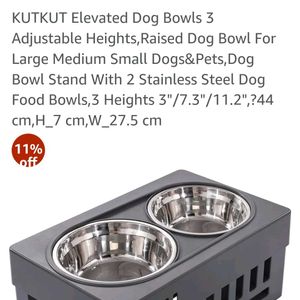 Dog Bowl