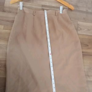 Brown High Waist Skirt