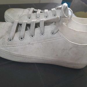 Zudio Casual Canvas Sneakers