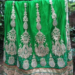 Lehenga Skirt and shaul