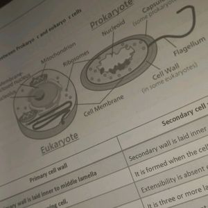 NEET SHORT NOTES