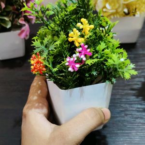 Colour Full Artificial Plants