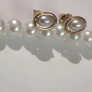 Pearl Earrings