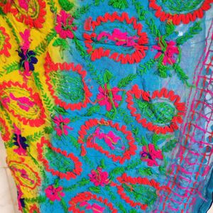 🎈NEW🎈Sequins Multicolour Phulkari Dupatta