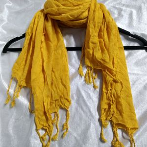 Combo Of 6 Scarfs ,2 Stoles And 1 Shawl