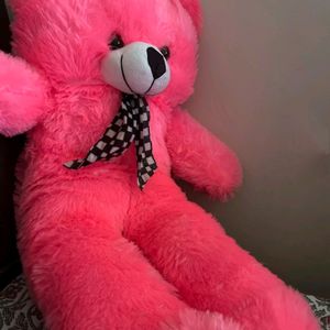 Pink Teddy