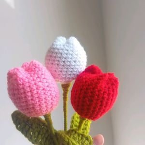 3 Tulip Set