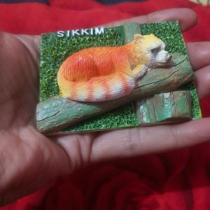 Beautiful Sikkim Fridge Magnet New