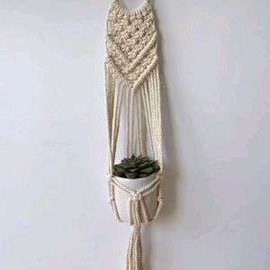 Plant Hanging