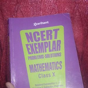 Maths NCERT EXAMPLER