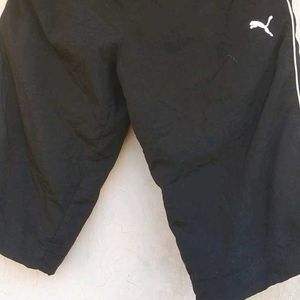 Shorts For Men