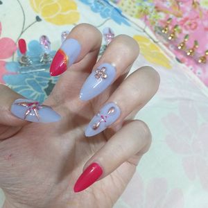 Press On Nails(Wildflowers🏵)