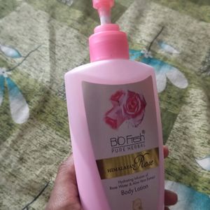 Body Lotion