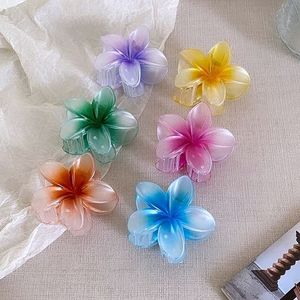 Bloom with Beauty: Vibrant Flower Hair Clips