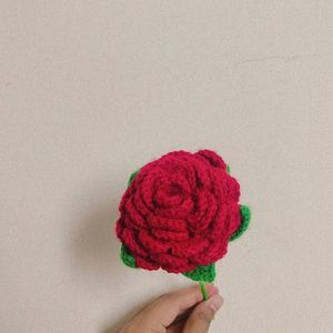 Crochet Roses