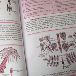 TRUEMAN's Biology Refer. for 11th& 2 FREE BOOK