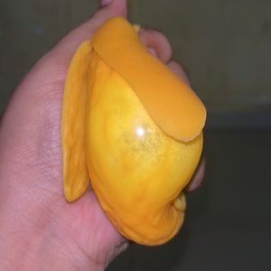 Mango Squishy Toy