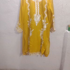 Pakistani Embroidered Suit