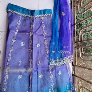 Fancy Work Lehenga choli (9-11 Years)