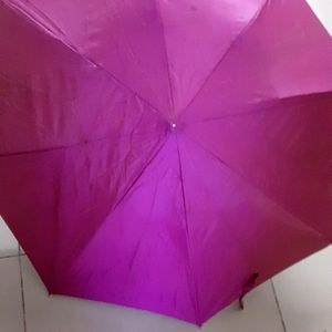 Pink Umbrella