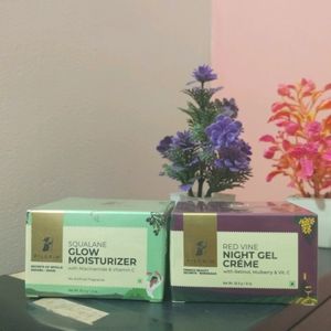 Pilgrim Glow Moisturizer And Night Gel Cream