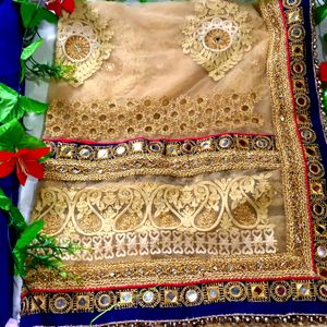 Lehnga Style  Designer Saree