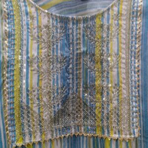 Shimar Lining Kurti