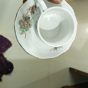 Cup And Saucer