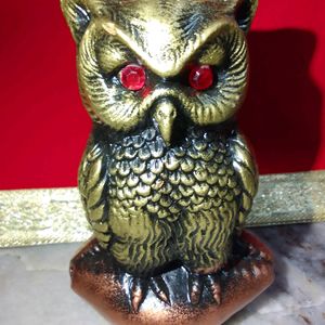 New Fancy Owl 🦉 only 200