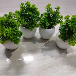 Beautiful Artificial Plant..