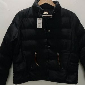 Gents Ladies Black Padded Jacket